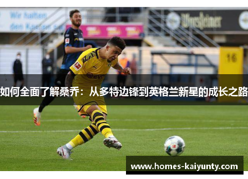 如何全面了解桑乔:从多特边锋到英格兰新星的成长之路 如何全面了解桑乔:从多特边锋到英格兰新星的成长之路
