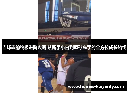 当球霸的终极进阶攻略 从新手小白到篮球高手的全方位成长路线 当球霸的终极进阶攻略 从新手小白到篮球高手的全方位成长路线