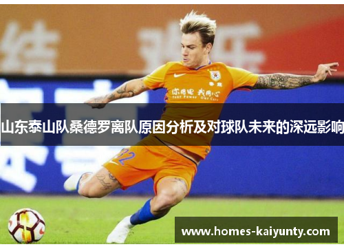 山东泰山队桑德罗离队原因分析及对球队未来的深远影响 山东泰山队桑德罗离队原因分析及对球队未来的深远影响