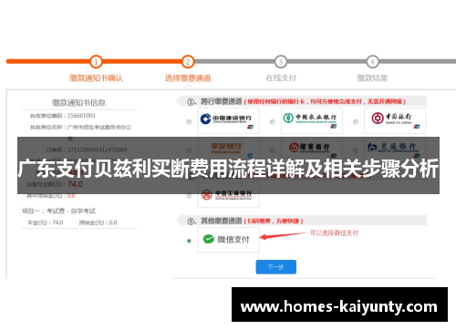 广东支付贝兹利买断费用流程详解及相关步骤分析 广东支付贝兹利买断费用流程详解及相关步骤分析