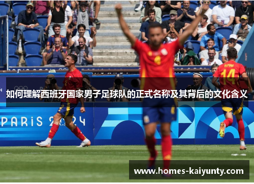 如何理解西班牙国家男子足球队的正式名称及其背后的文化含义 如何理解西班牙国家男子足球队的正式名称及其背后的文化含义