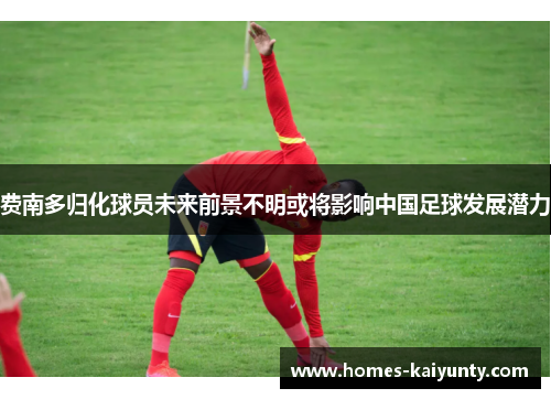 费南多归化球员未来前景不明或将影响中国足球发展潜力 费南多归化球员未来前景不明或将影响中国足球发展潜力
