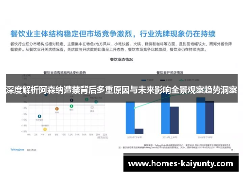 深度解析阿森纳遭禁背后多重原因与未来影响全景观察趋势洞察