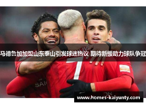 马德鲁加加盟山东泰山引发球迷热议 期待新援助力球队争冠