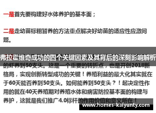 弗拉霍维奇成功的四个关键因素及其背后的深刻影响解析